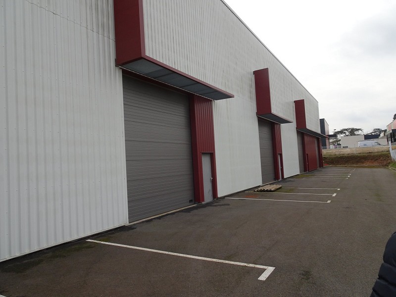 Local d'activité 1323 m²